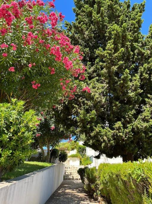 Apartamento Casa Oliveira - Algarve Porches  Exterior foto